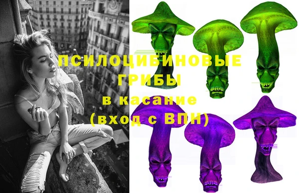 ПСИЛОЦИБИНОВЫЕ ГРИБЫ Майский