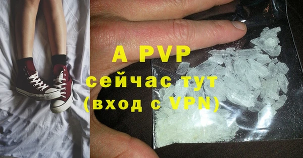 ПСИЛОЦИБИНОВЫЕ ГРИБЫ Майский