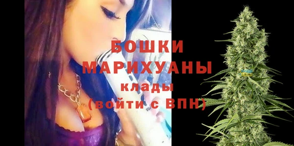 дурь Лиски