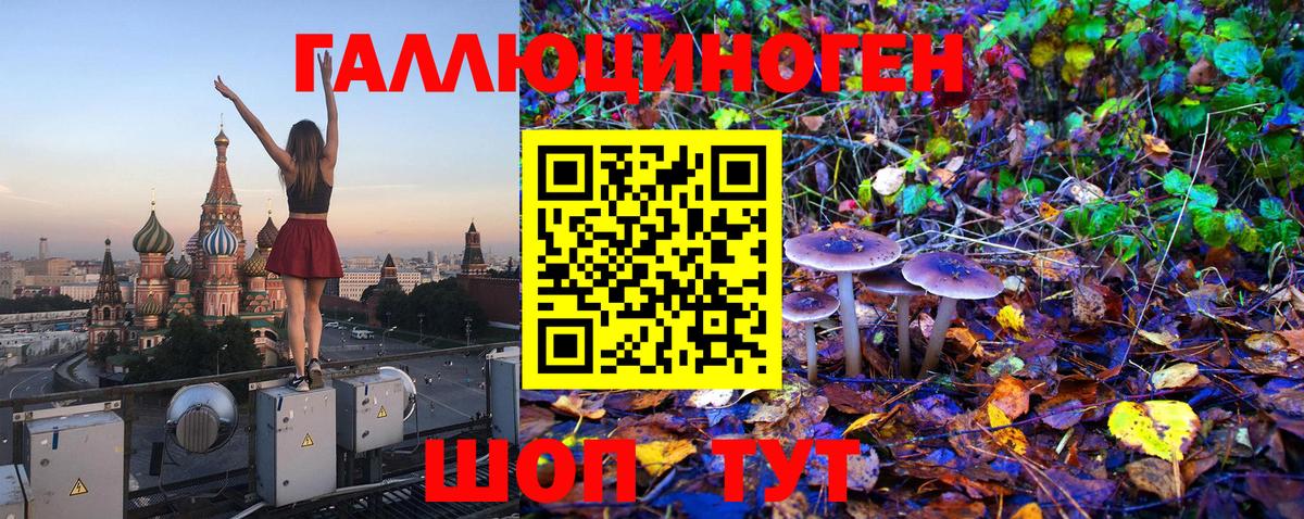 Псилоцибиновые грибы мухоморы  Вход с VPN  Псилоцибиновые грибы Magic Shrooms  Морозовск 