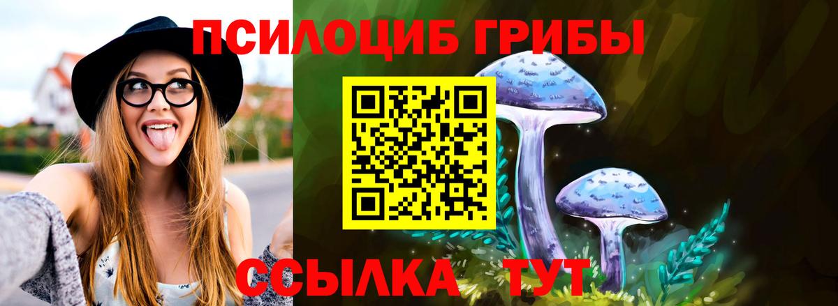 Псилоцибиновые грибы мицелий Морозовск